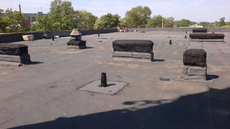 2014-07-13-052.jpg