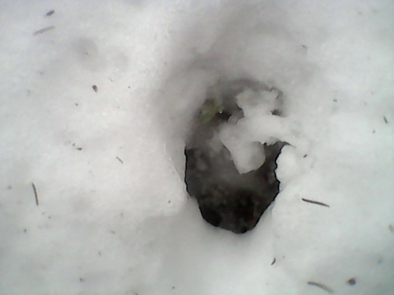DSC_0000383.jpg