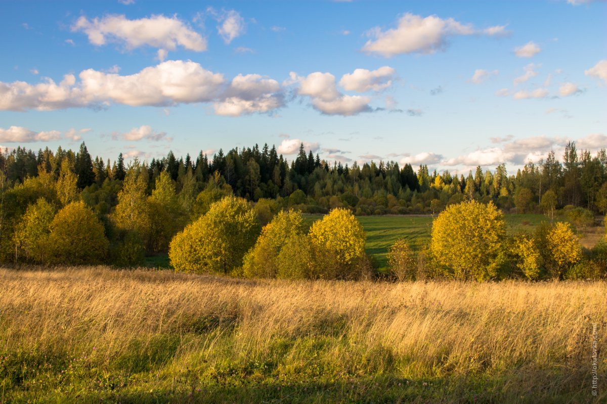 Осенняя природа