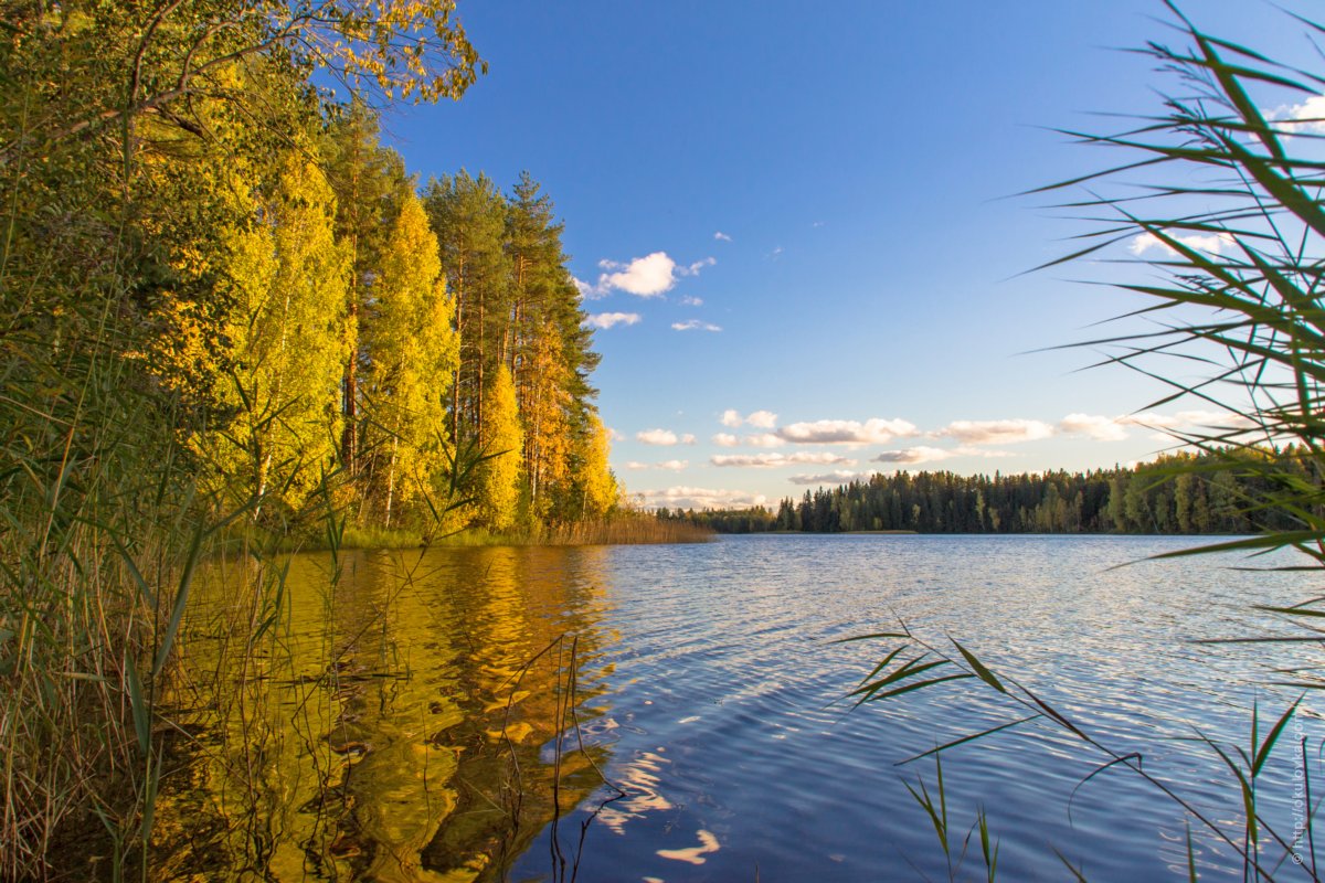 Озеро Конино (Перестово)