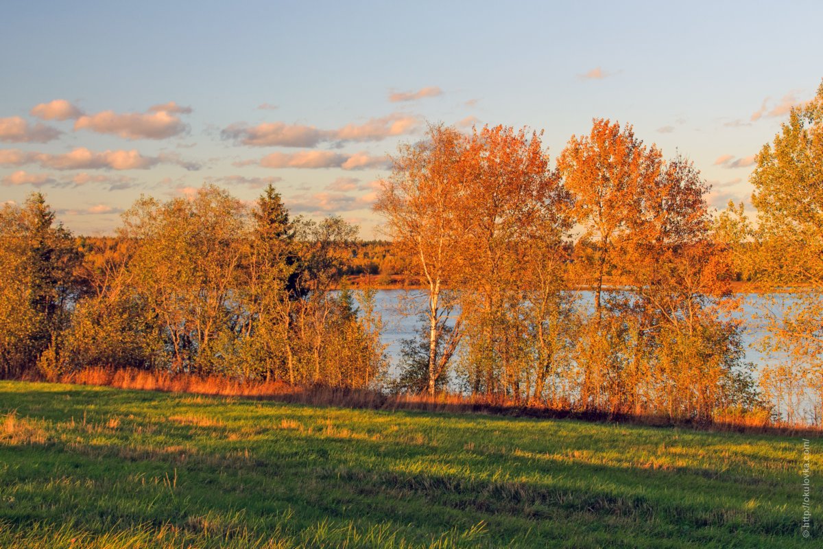 Озеро Боровно, октябрь 2015