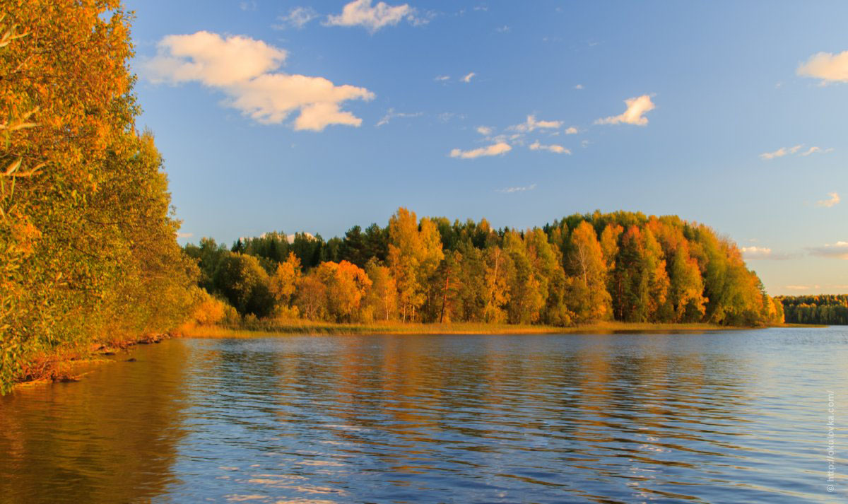 Озеро Боровно, октябрь 2015
