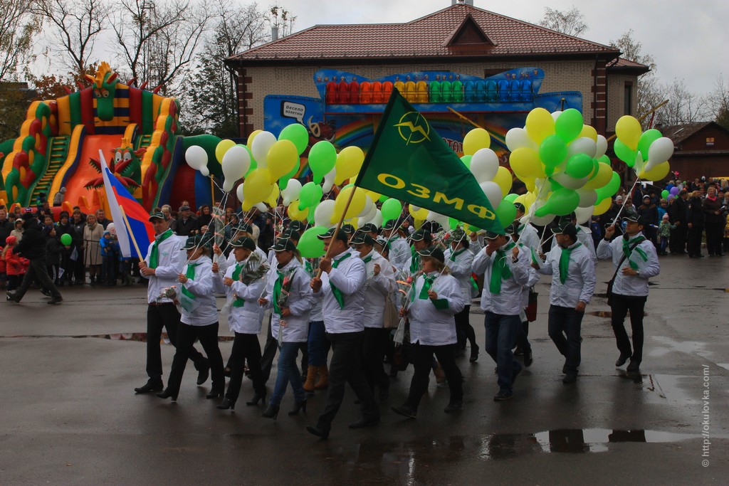 День города и Богородицкая ярмарка 2016 г.