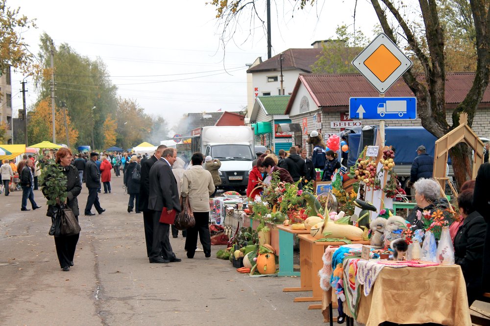 День города и Богородицкая ярмарка 2012 г.