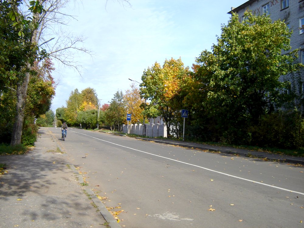 2007 год
