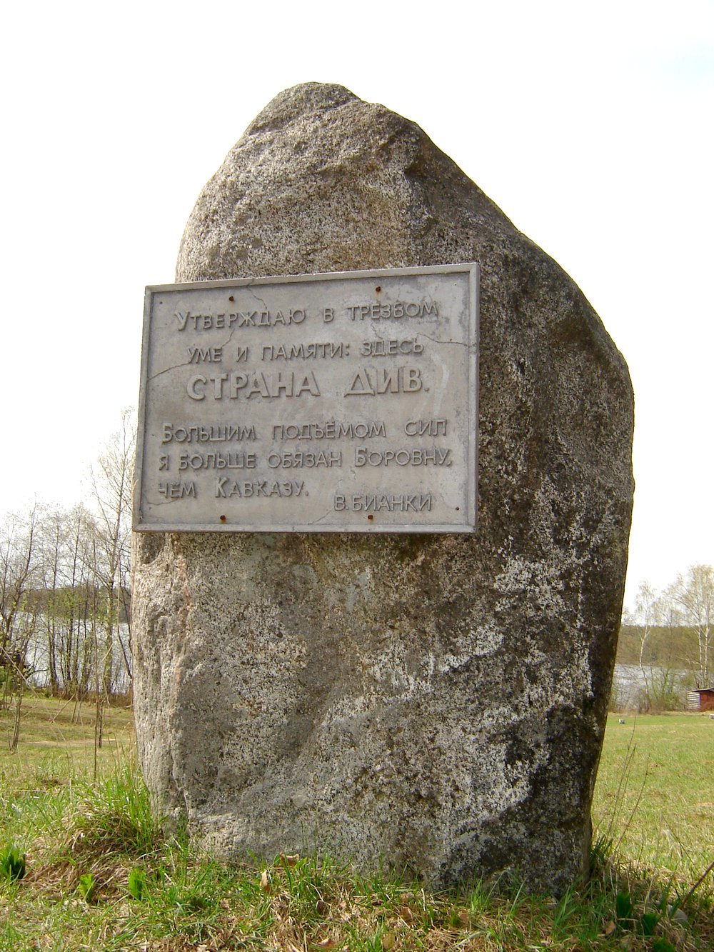 2008 год