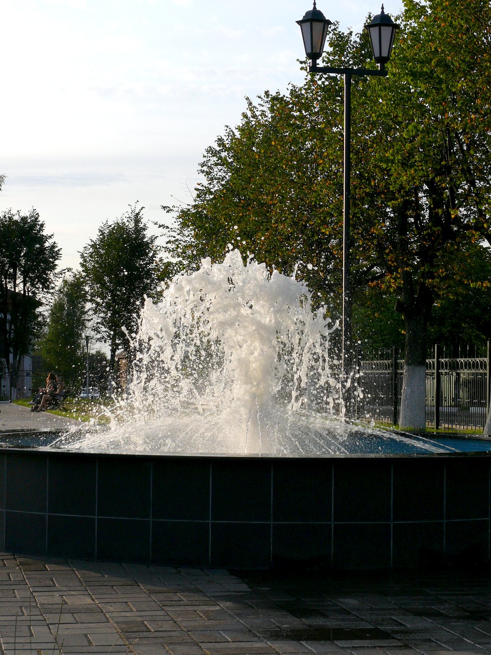 2008 год