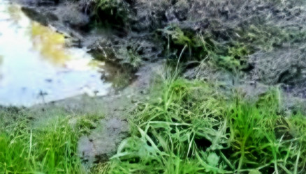 Минприроды проверит карьер в Окуловском округе из-за падения уровня грунтовых водМинистерство природных ресурсов Новгородской об...